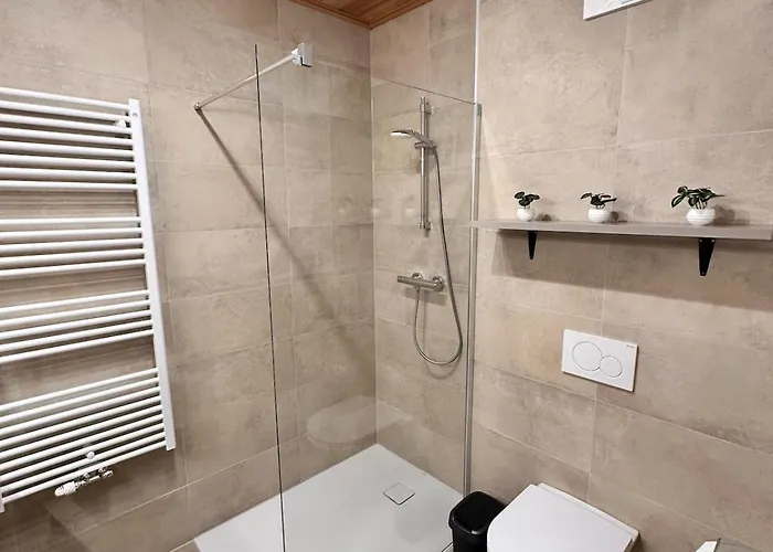 Apartment Alpin 103 Schladming